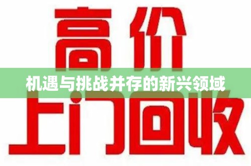 信阳机遇与挑战并存的新兴领域